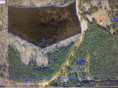 16 Acre Timberland Tract