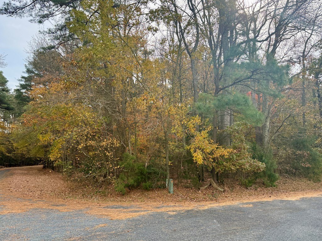 Picture 13