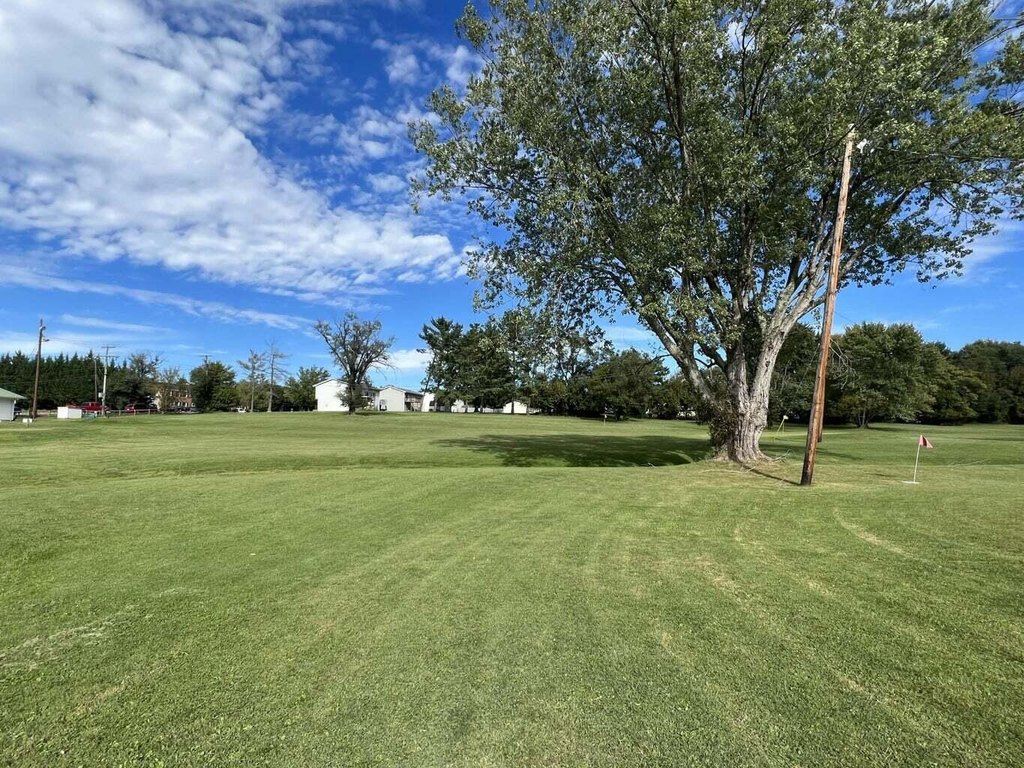 Picture 20