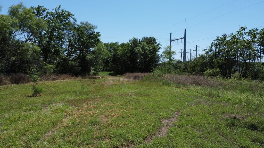 Picture 17