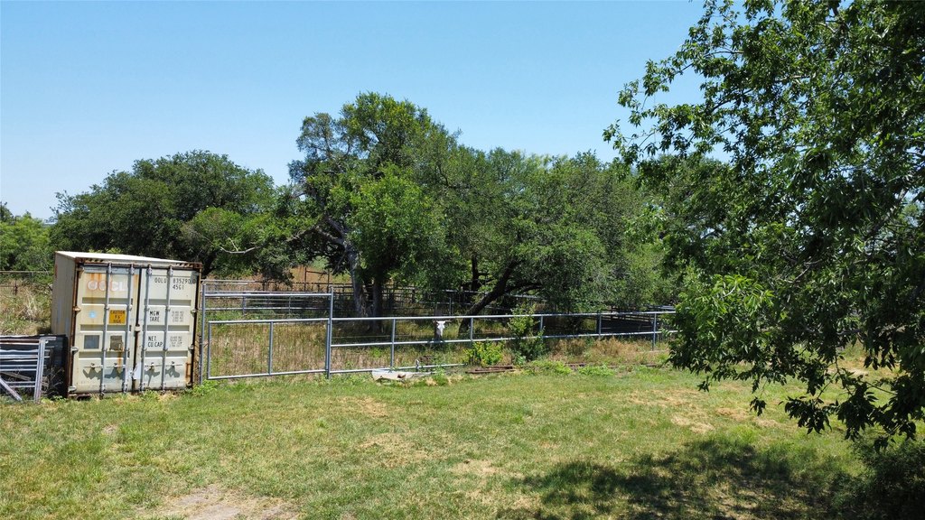 Picture 10