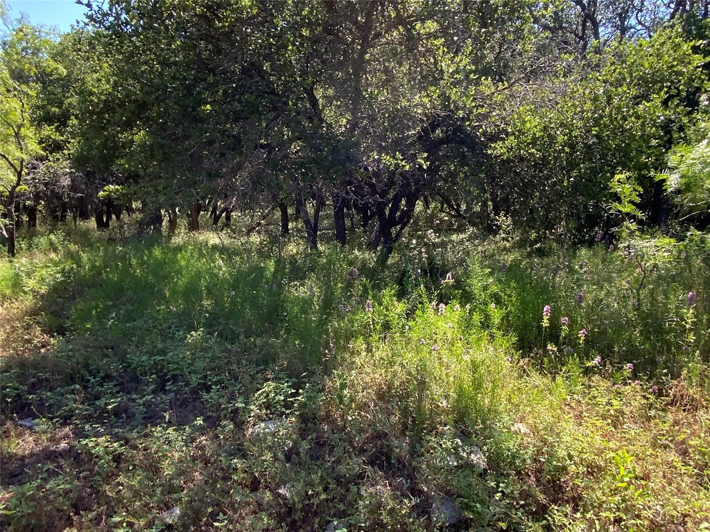 Picture 28