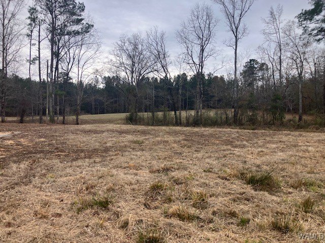 Northport Commercial Land For Sale