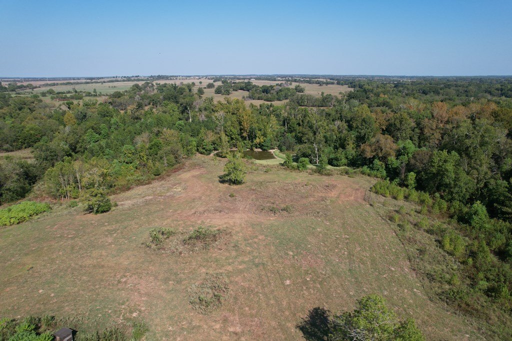 Picture 17