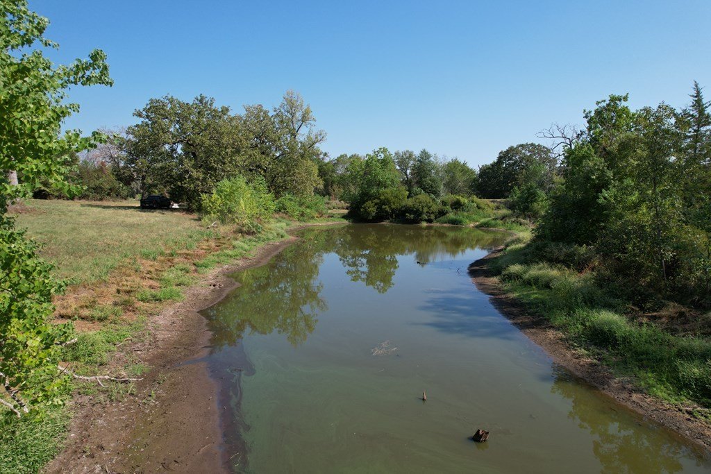 Picture 5