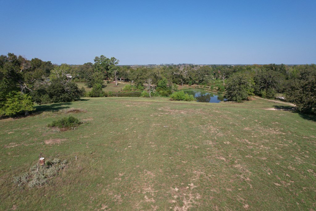 Picture 14