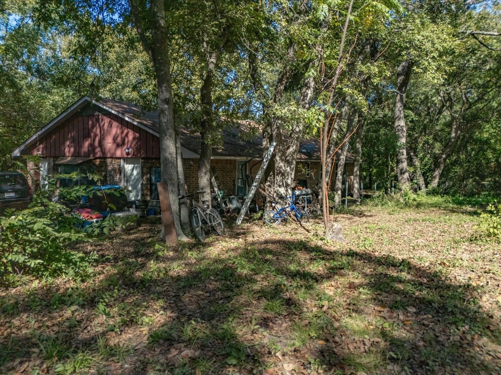 Picture 21