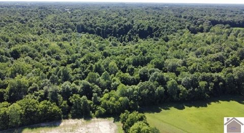 50+ Acres in Paducah, KY