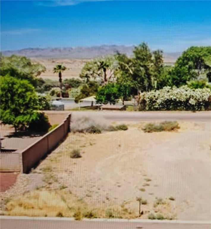 Picture 5