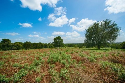 Unimproved Land in Weatherford, Texas