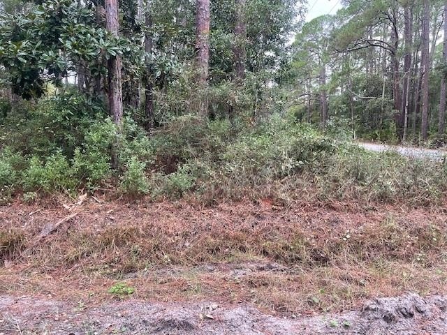 Residential Land Near Gulf