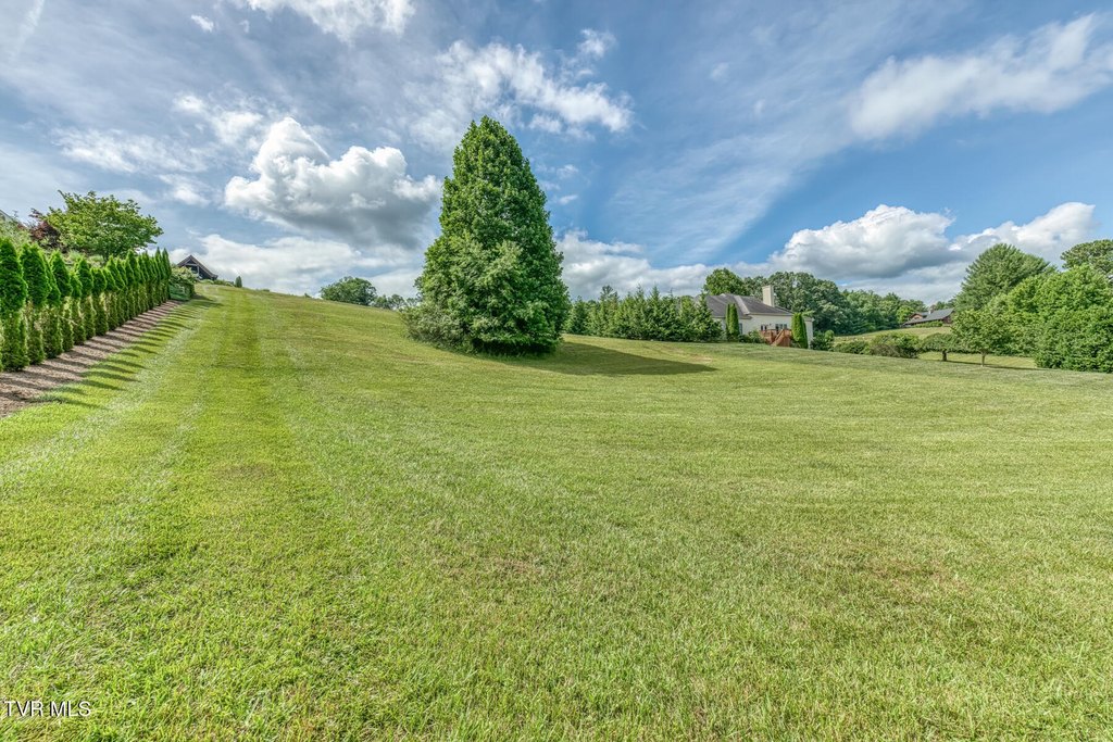 Picture 27