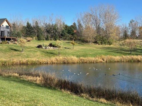 Residential Land Near Mayo Clinic