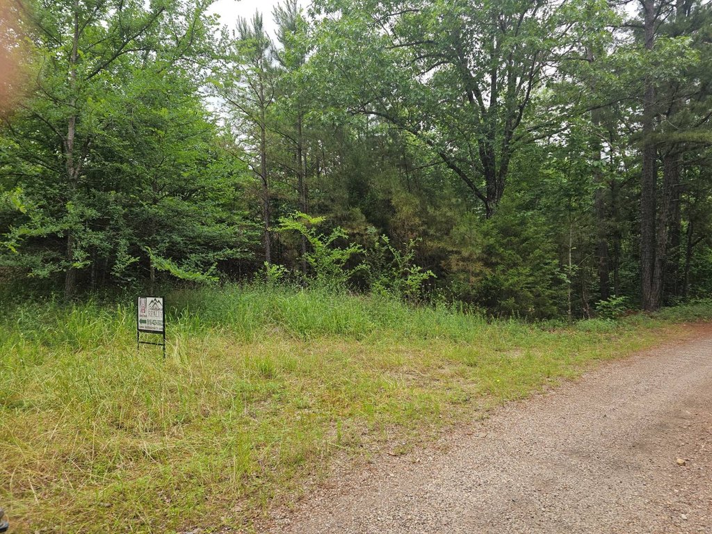 Picture 3
