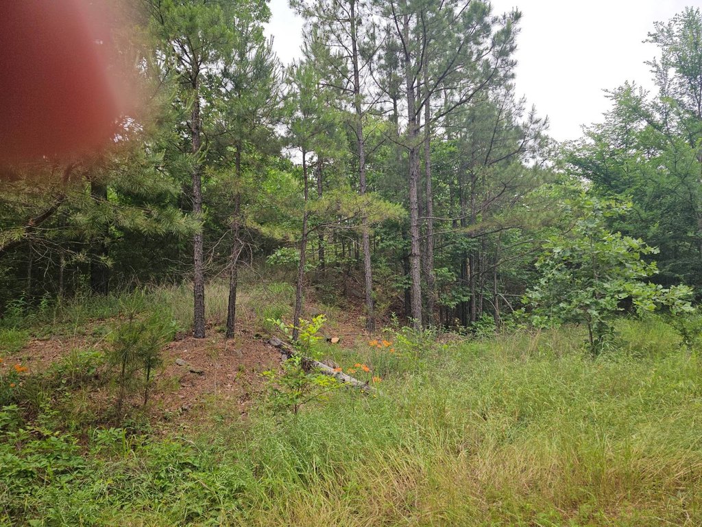 Picture 4