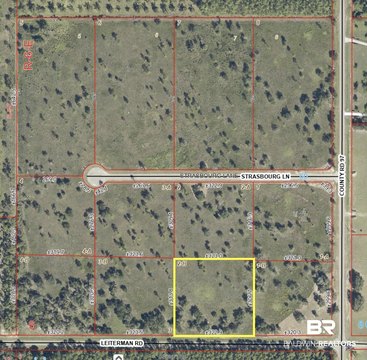 Residential Lot in Elberta, AL