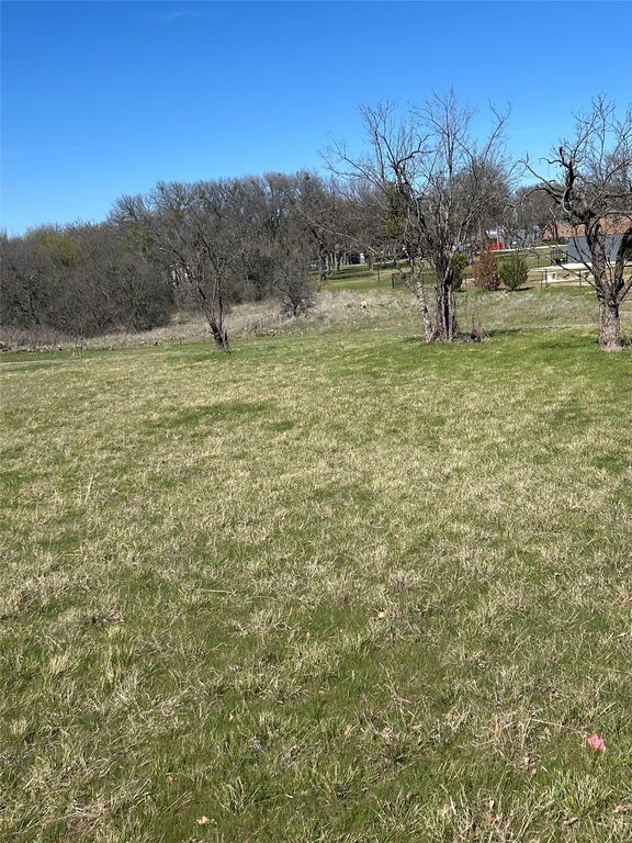 Picture 8