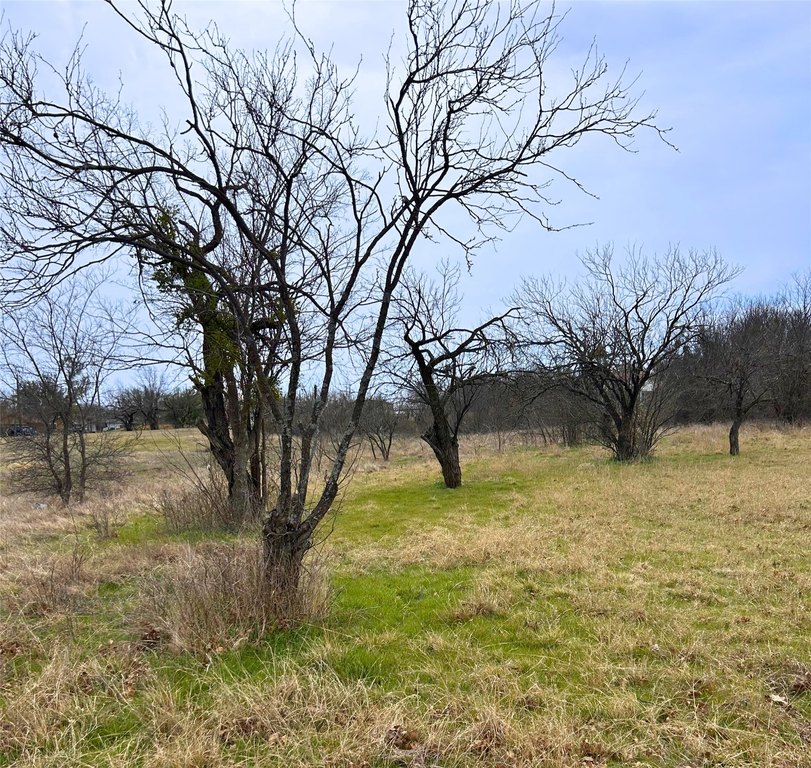 Picture 10