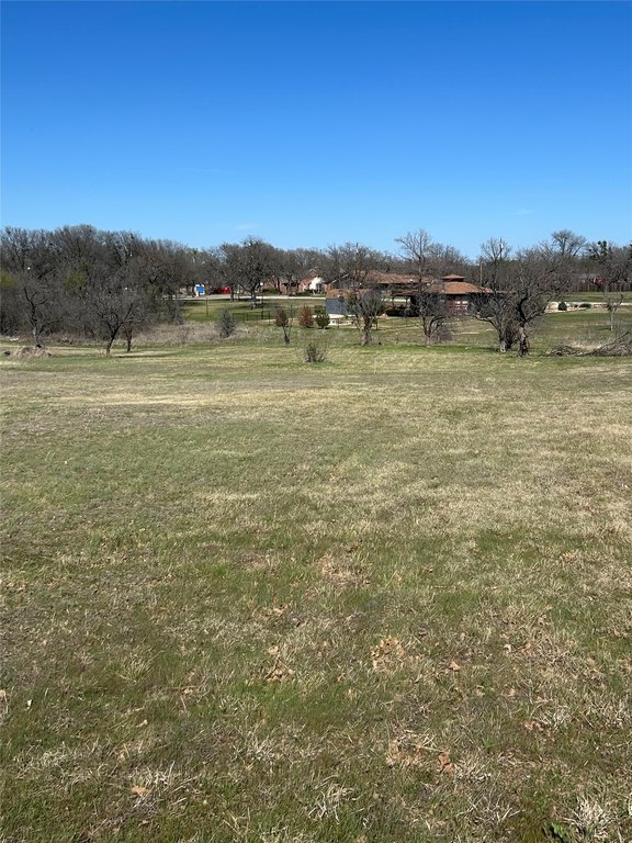 Picture 17