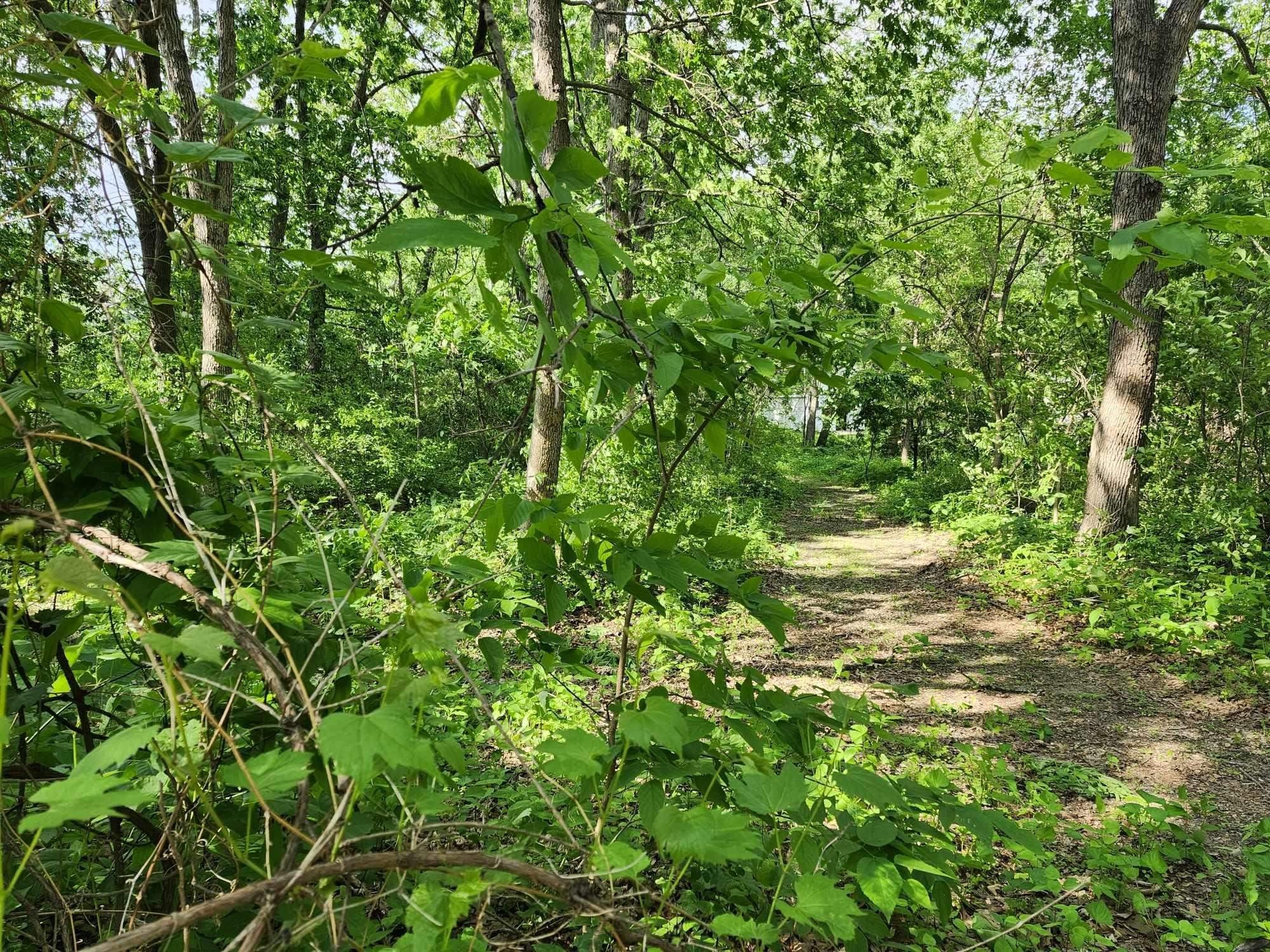 Buildable Lot Near Wisconsin River