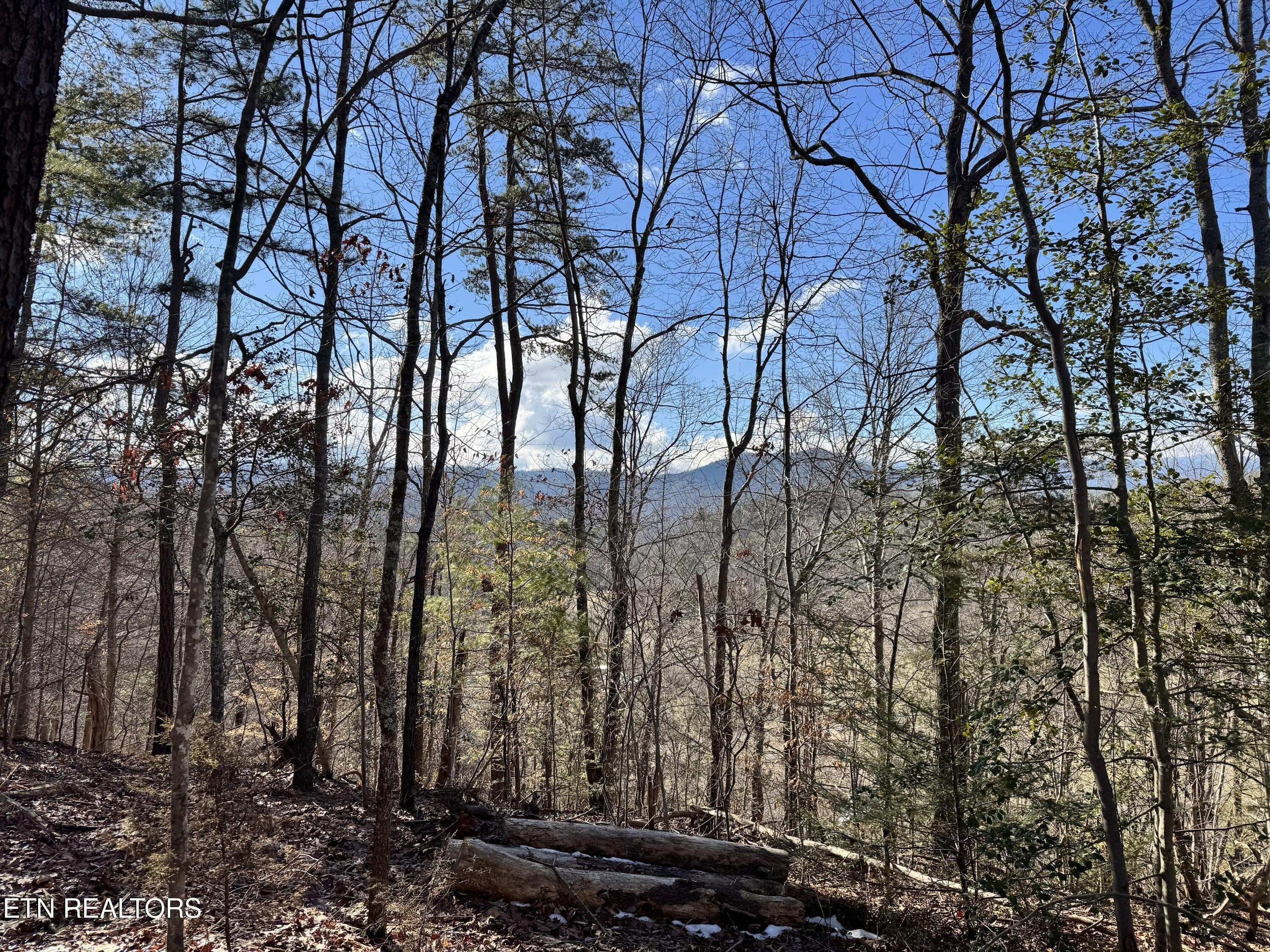 Cosby TN Rolling Mountain Land