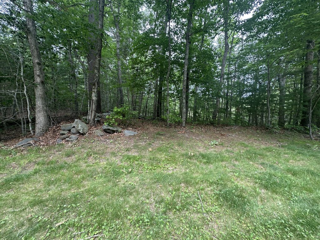 Picture 3