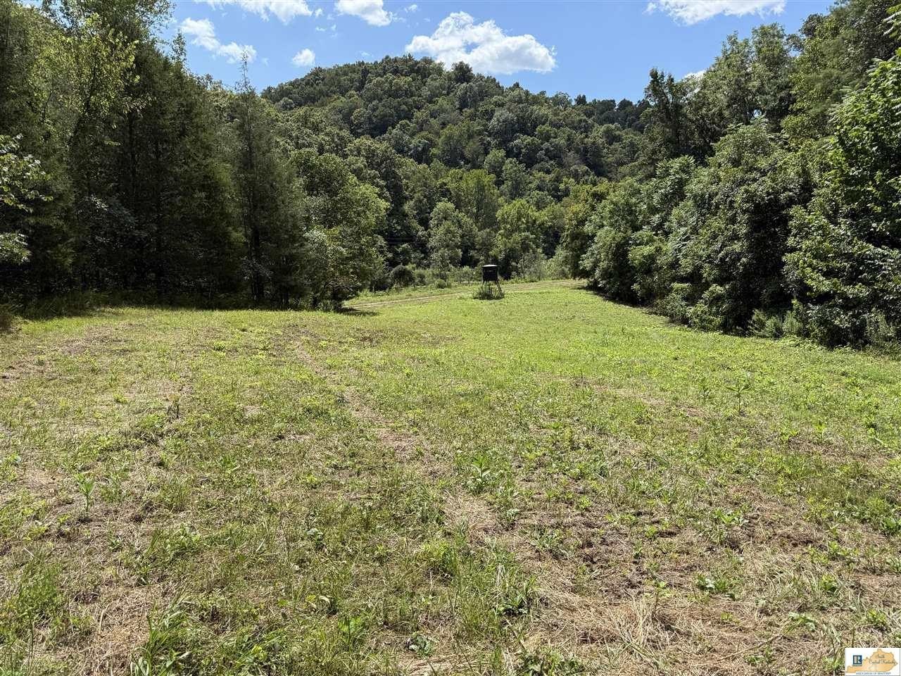 Kentucky Land with Hunting Features