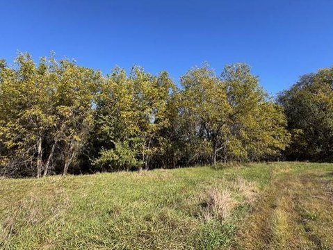 40 Acres of Wildlife Heaven