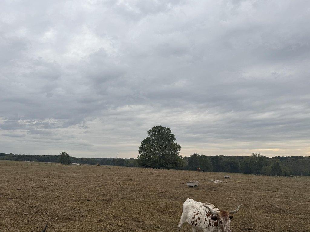 Picture 21