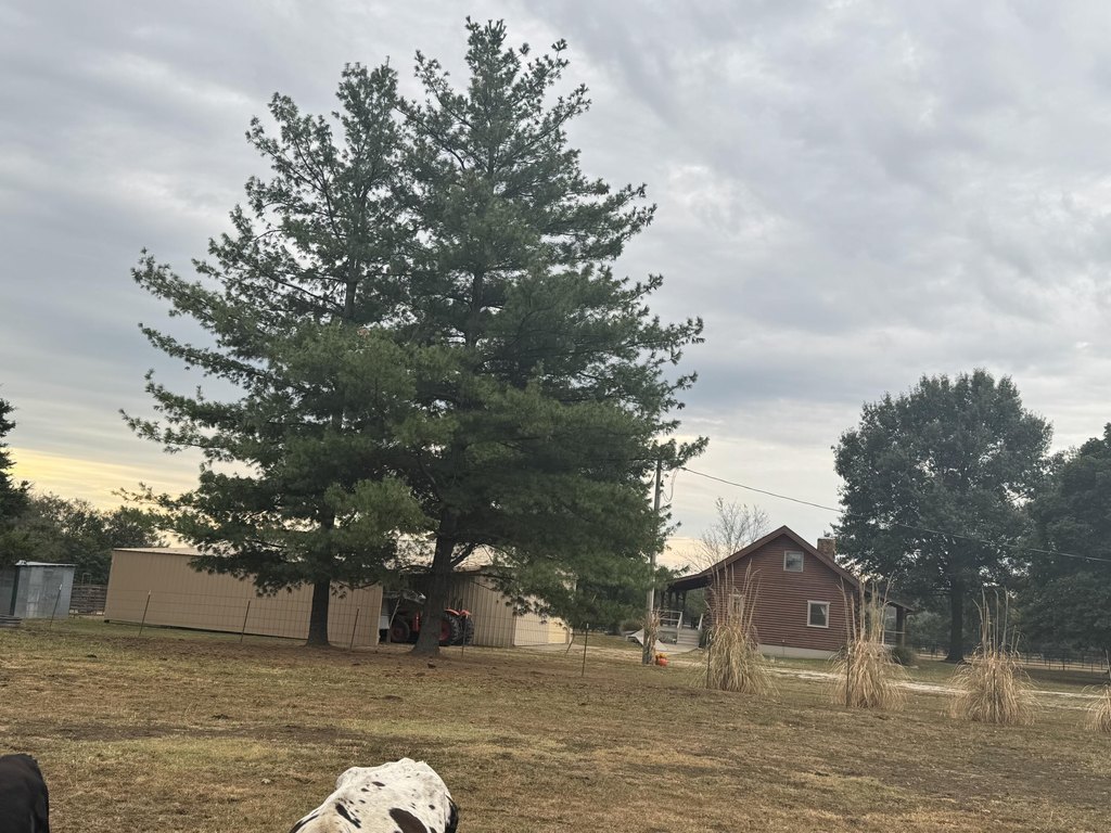 Picture 22