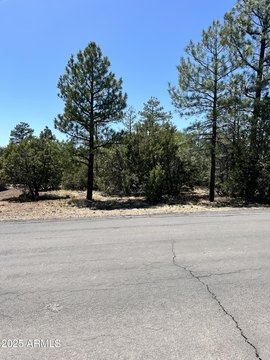 Residential Land in Lakeside, AZ
