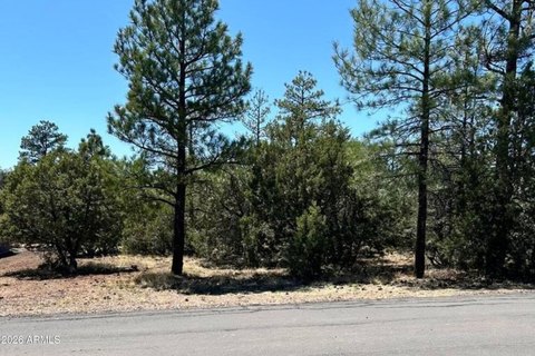 Residential Land in Lakeside, AZ
