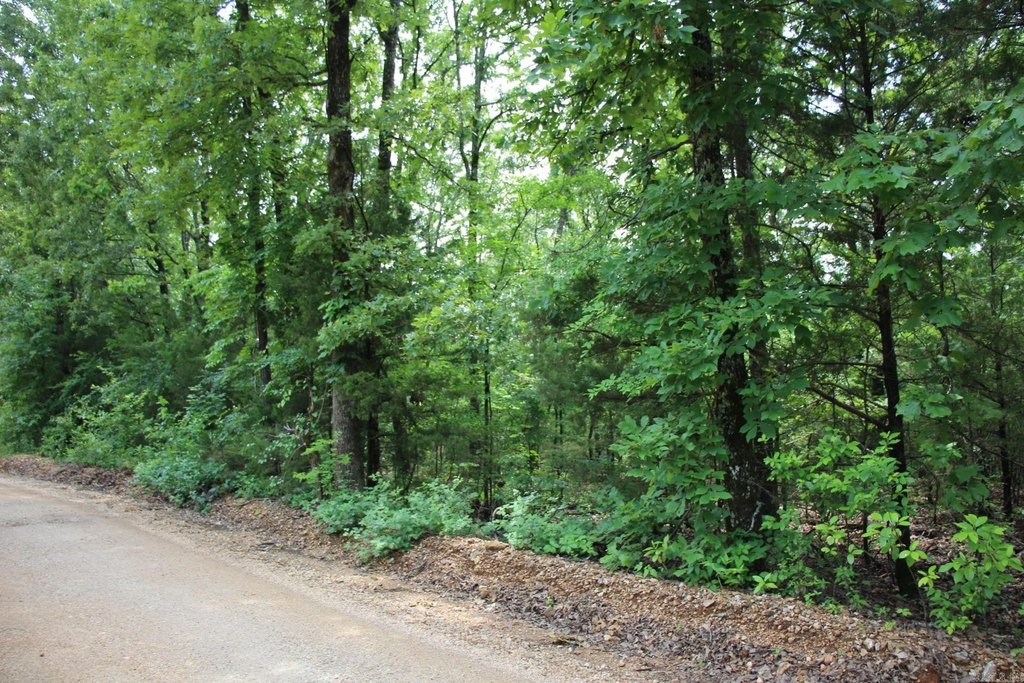 Picture 6