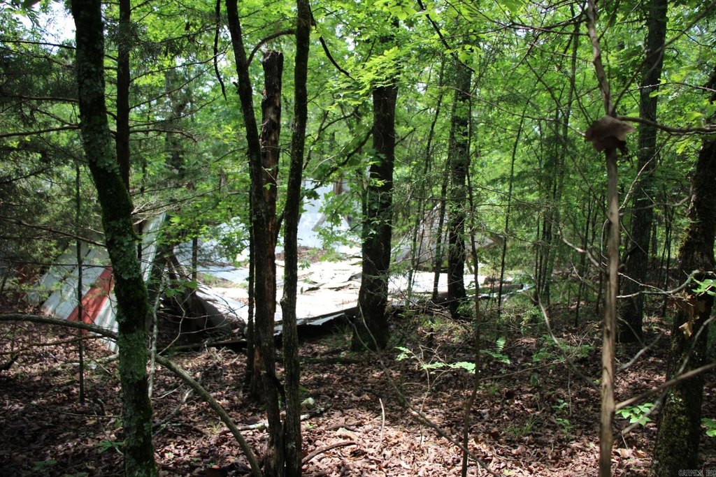 Picture 10
