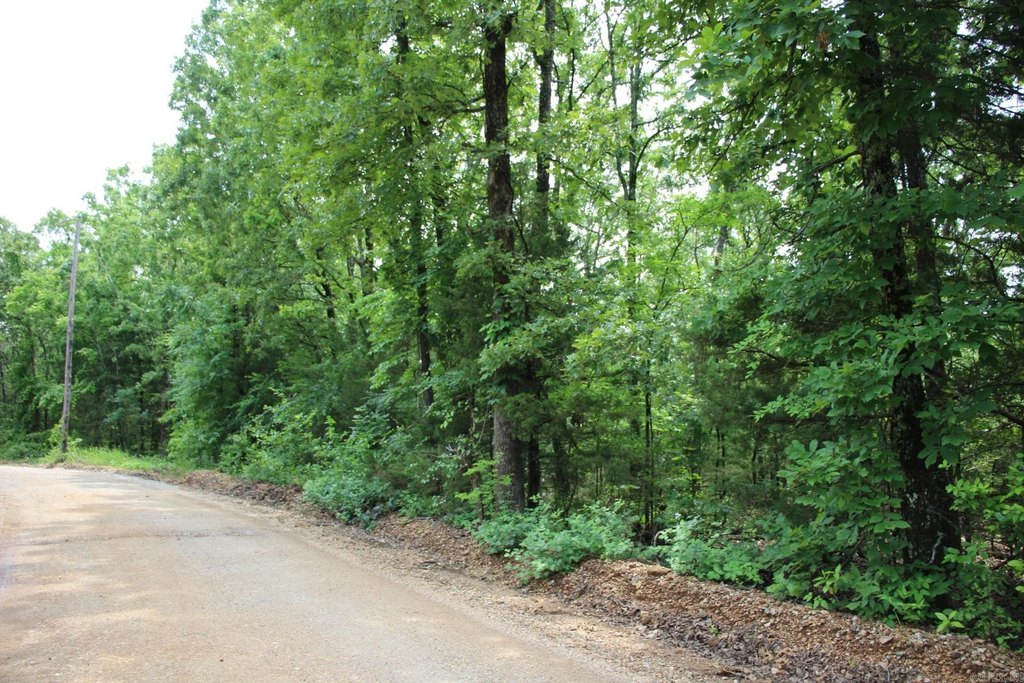 Picture 19