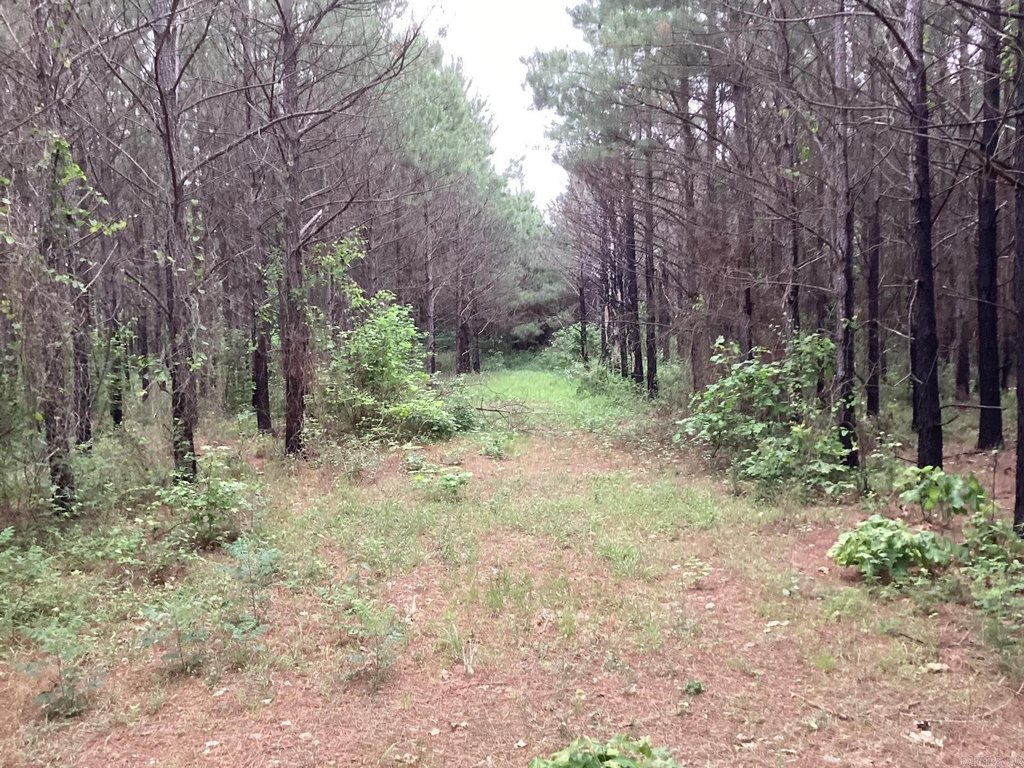 Picture 2