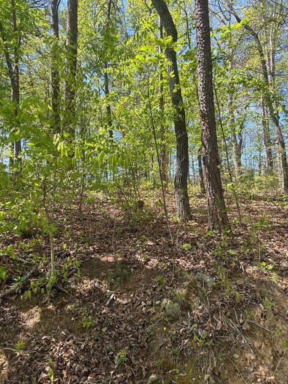 Picture 10
