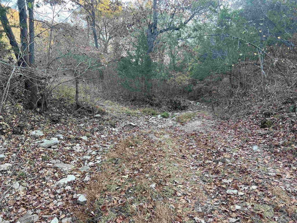 Picture 11