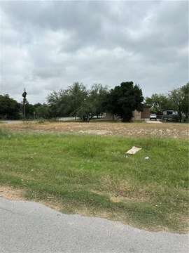Residential Lot in Hidalgo, TX