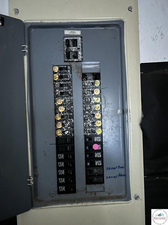 Picture 17