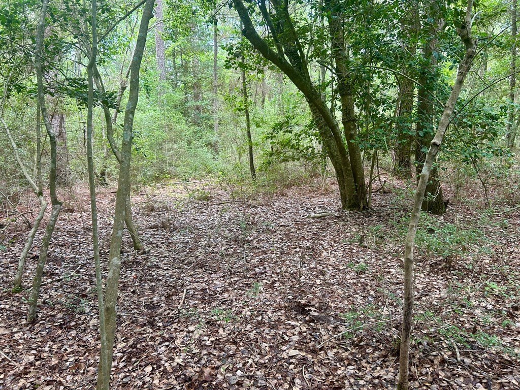 Picture 10