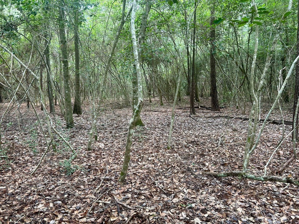 Picture 5