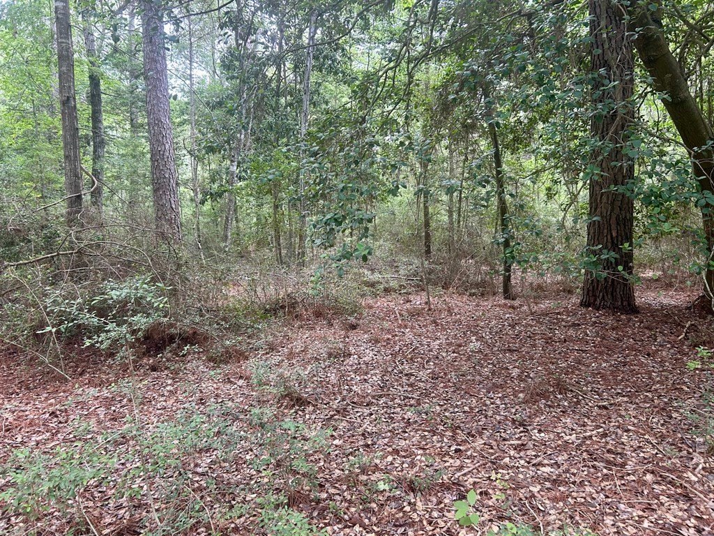 Picture 4