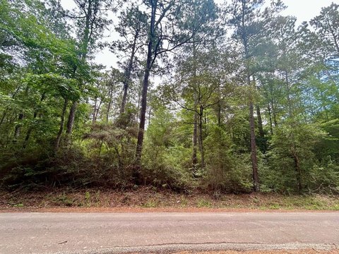 LAND - Zavalla, TX