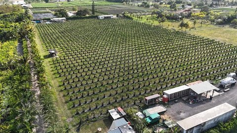 5-Acre Nursery Opportunity in Miami