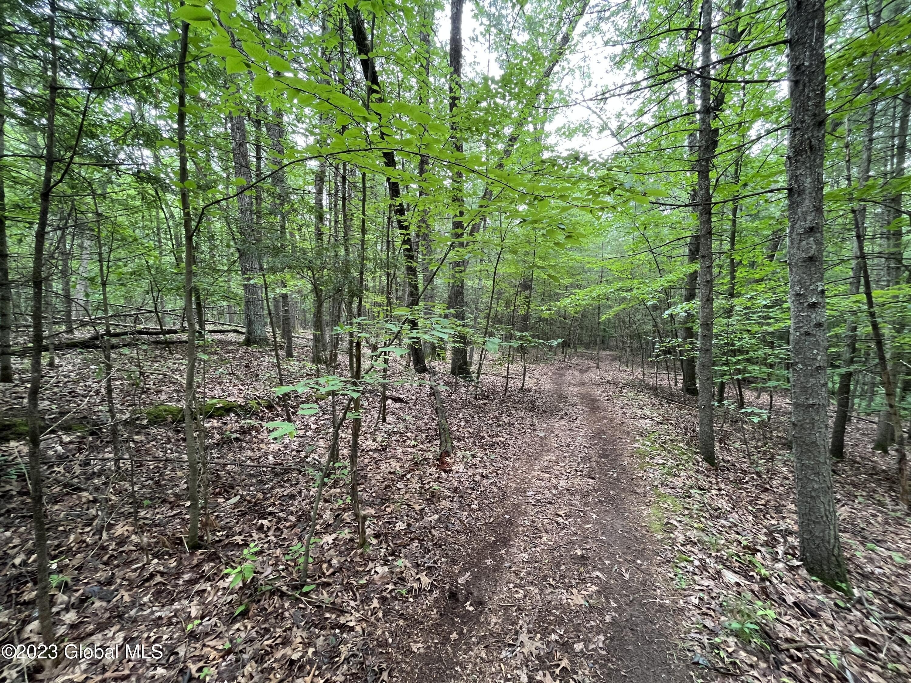 35 Acres in Saratoga Springs