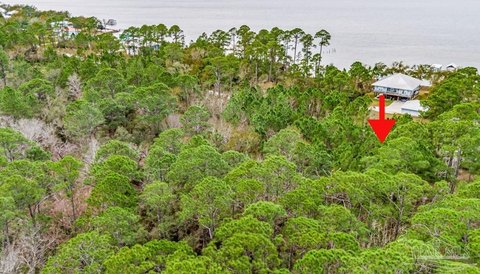 Wooded Lot Near Waterfront