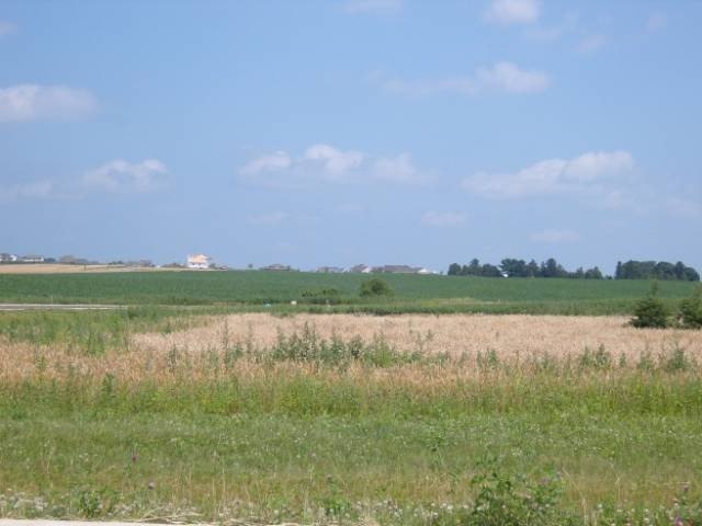 Picture 6