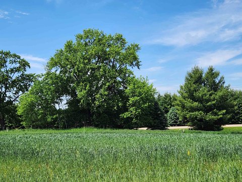Residential Lot in Sun Prairie