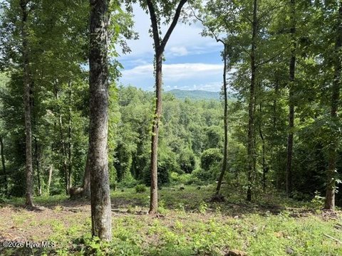 LAND - Murphy, NC